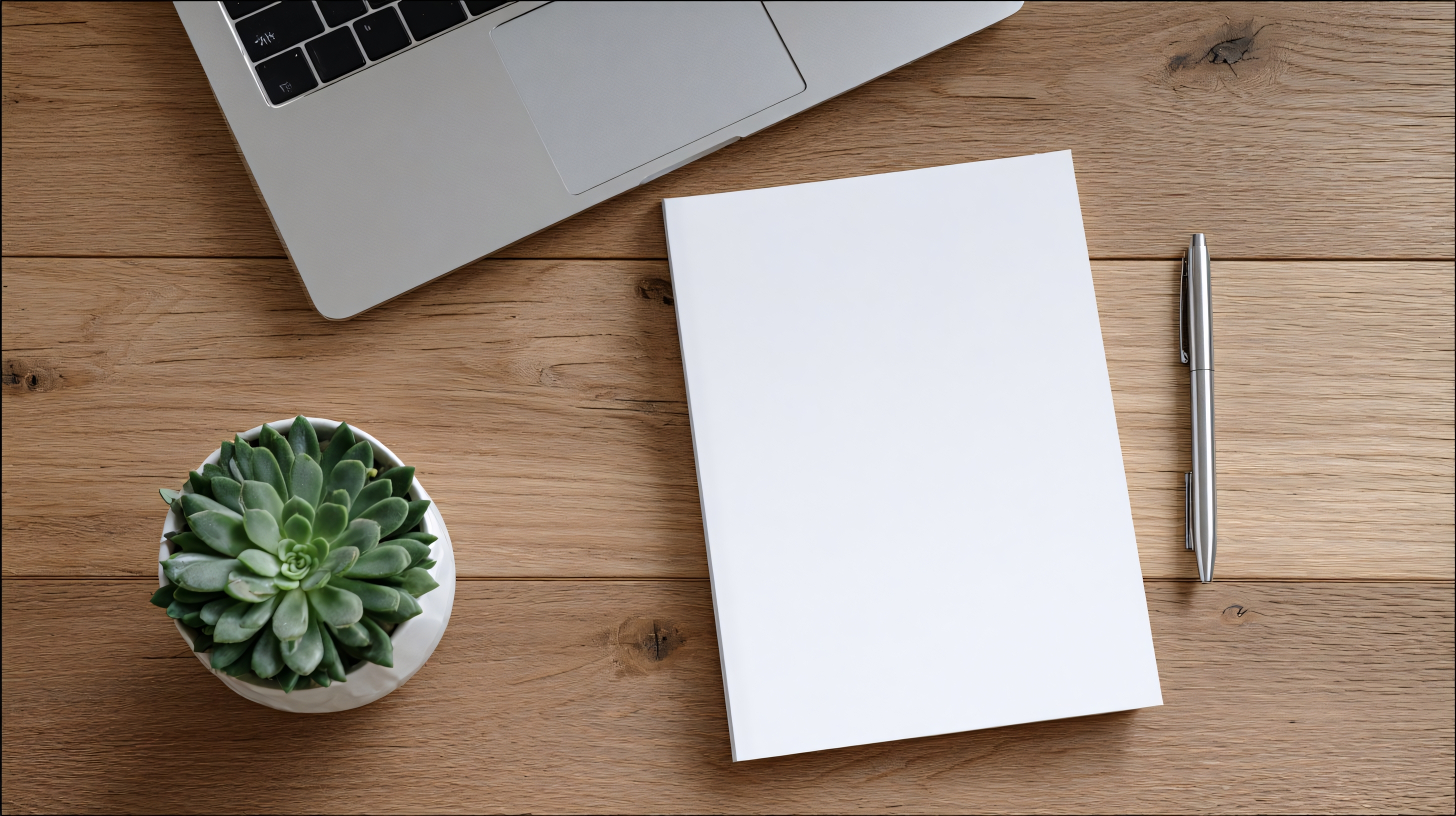 minimalist desk laptop notebook plant workspace
