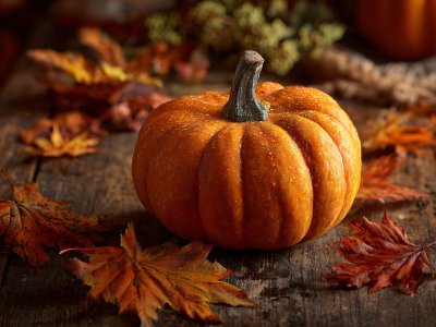 autumn pumpkin decoration fall season harvest