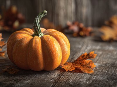 autumn pumpkin fall leaves seasonal decor