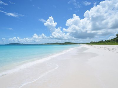 serene tropical beach with clear turquoise water and white sand