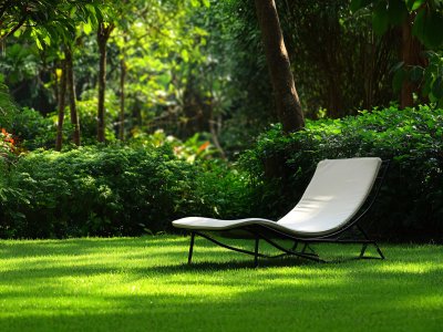 outdoor lounge chair in lush garden with green grass